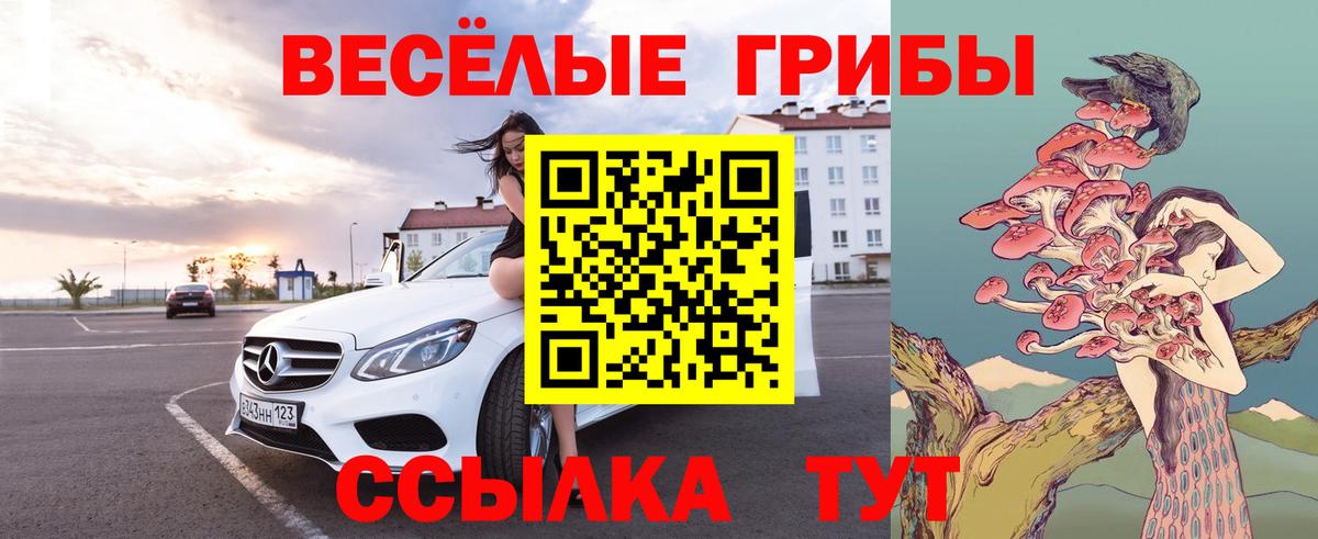 Галлюциногенные грибы Psilocybine cubensis  Вход с VPN  Сальск  Галлюциногенные грибы GOLDEN TEACHER 